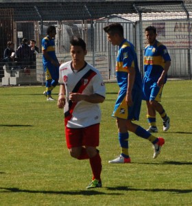 Fanelli