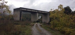 viadotto di completamento circonvallazione centro abitato Francavilla 