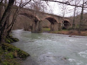 Fiume Frida 14-02-14 005