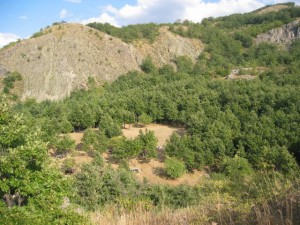 Loc. Acquafredda2